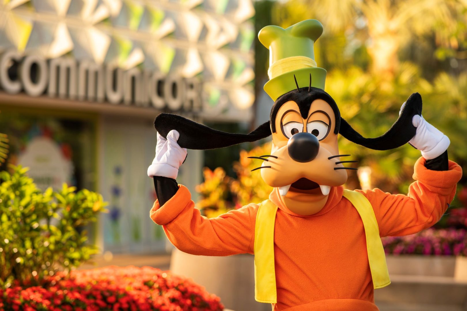 Goofy.jpg